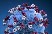 خبر خوب دانشمندان ژاپنی / ویروس کرونا نابود شد
