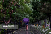 بارش نخستین باران پاییزی در شیراز