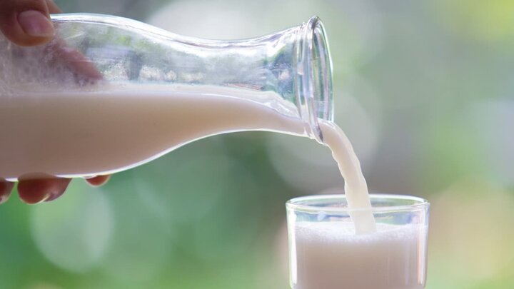 آیا نوشیدن شیر برای رفع سوزش معده مفید است؟