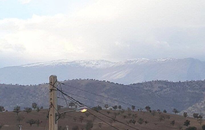 اتفاق هولناک در خوزستان / یک چوپان و ۴۰ گوسفند تلف شدند! + عکس