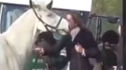 رفتار زشت یک سوارکار با اسب خود جنجالی شد! / فیلم
