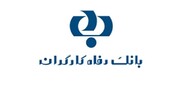 قدردانی رئیس کمیسیون اقتصادی مجلس از بانک رفاه کارگران