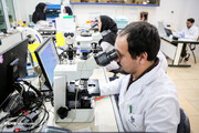 دانشمندان برتر ایرانی معرفی شدند