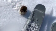شاخ و شونه کشیدن موش کوچولو برای مرد اسکی باز / فیلم