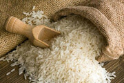 ۴۲۰۰ تن برنج‌ در بندر امام فاسد شد