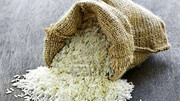کاهش قیمت انواع برنج در بازار / قیمت هر کیلو برنج هندی ، برنج تایلندی و برنج ایرانی اعلام شد