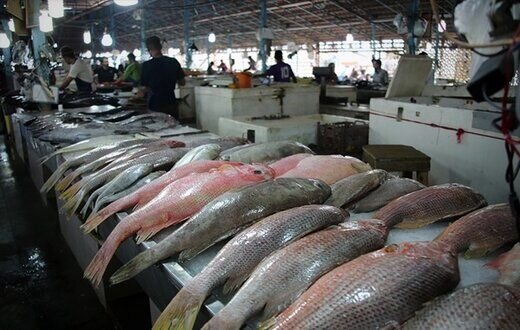 قیمت این ماهی در بازار رشت ۶ میلیون تومان است!