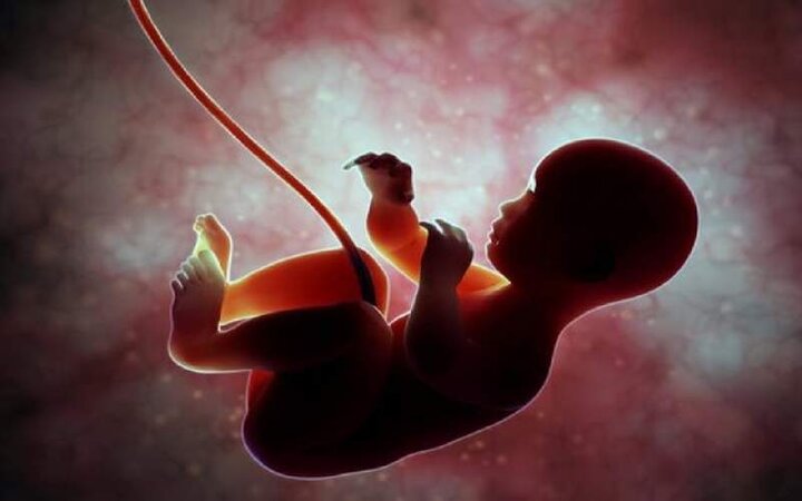 کشف جدید پژوهشگران: جنین هم به کرونا مبتلا می‌شود!