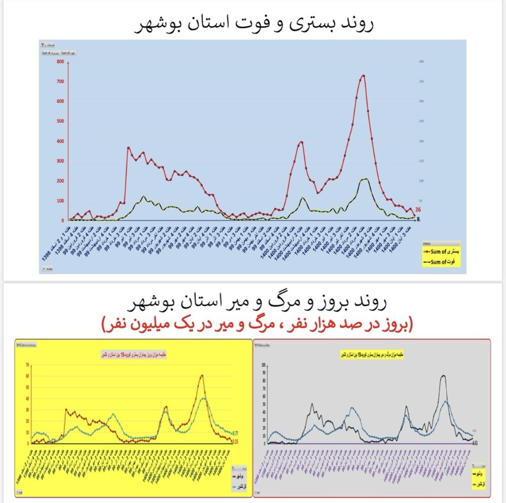 وضعیت بستری و فوتی استان بوشهر