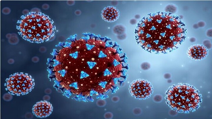 پیدا شدن جهش جدید و خطرناک ویروس کرونا در آفریقای جنوبی