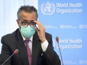 سازمان جهانی بهداشت در پی شناسایی سویه جدید کرونا جلسه تشکیل می‌دهد