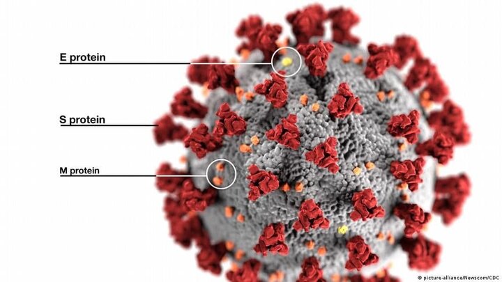 درباره سویه جدید ویروس کرونا "اومیکرون" بیشتر بدانید / گونه جدید تا چه اندازه خطرناک است؟