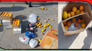 پرتقال با طعم تریاک /  کشف ۴۲ کیلوگرم تریاک در بار پرتقال در قم