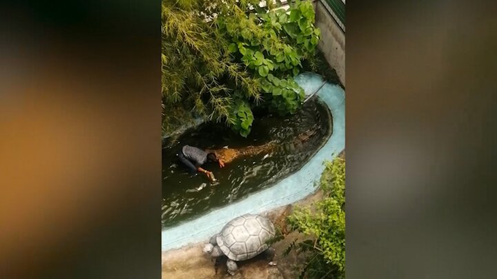 حمله وحشتناک تمساح به مردی که می‌خواست با او عکس سلفی بگیرد! / فیلم