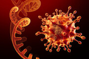 همه چیز درباره ویروس اُمیکرون + علائم