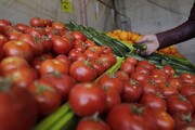کاهش ۱۵ درصدی قیمت صیفی‌جات در بازار / چرا گوجه فرنگی ارزان نشده است؟