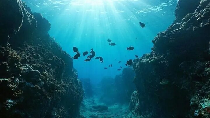 حقایقی جالب و خواندنی درباره «اقیانوس آرام» که با شنیدن آن شگفت‌زده می‌شوید!