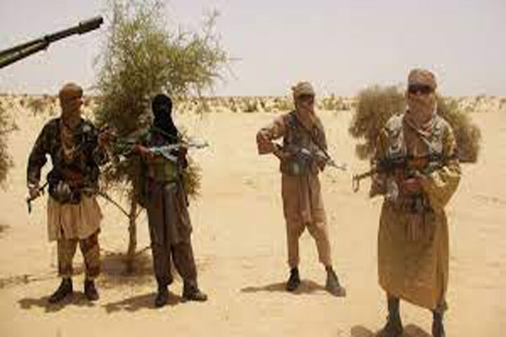 ۳۱ کشته در پی حمله تروریستی در شمال مالی 
