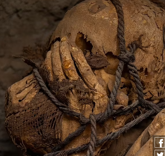 تصاویر دیده نشده از کشف مومیایی طناب پیچ شده در مقبره زیرزمینی / فیلم