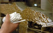صادرات سیگار ۴ برابر شد / چقدر از تولید و واردات محصولات دخانی به خزانه دولت می‌رود؟