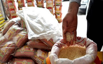 برنج ایرانی به کیلویی ۷۲ هزار تومان رسید / واردات برنج‌های خارجی بی‌کیفیت به ایران افزایش یافت