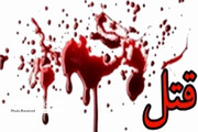 جزئیات قتل هولناک زن جوان در تهران / قاتلان به دنبال ۱۰۰ هزار دلار پول بودند
