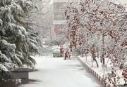 تصاویری زیبا از بارش برف در آذربایجان غربی / فیلم