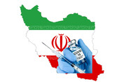 واکسن‌های ایرانی کرونا صادر می‌شود؟