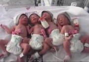تولد نوزادان چهارقلو در گناباد