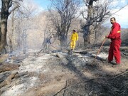 مهار آتش‌ سوزی جنگل‌های گلستان پس از ۶ روز