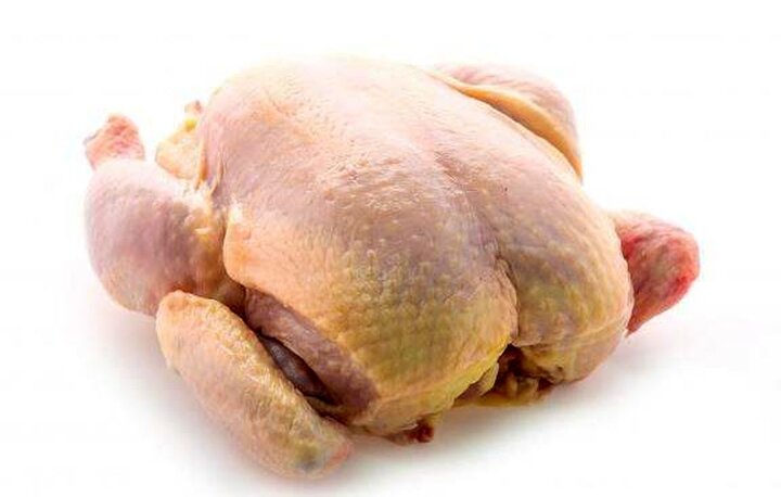 روش های تشخیص گوشت مرغ سالم از فاسد  / مرغ منجمد سالم این خصوصیات را دارد 