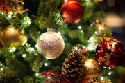 تاریخچه درخت کریسمس / رسم آوردن درخت کاج در خانه و تزئین آن از کجا آمده است؟