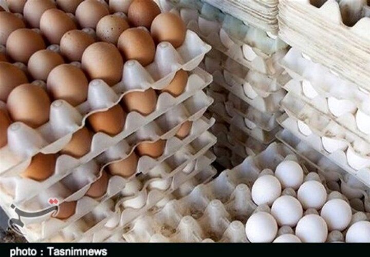 خبر حذف ارز ۴۲۰۰ تخم‌مرغ را گران کرد