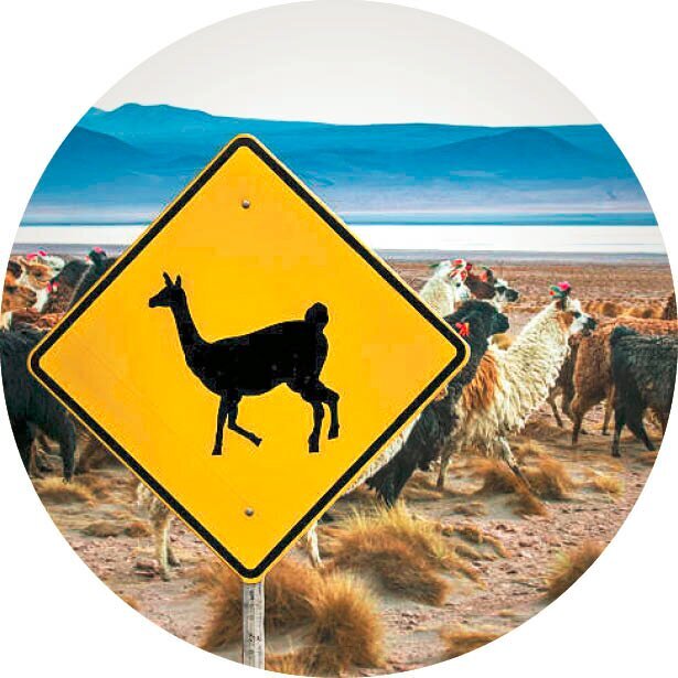 عجیبترین تابلوهای راهنمایی و رانندگی در جهان