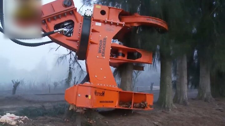 رونمایی از ماشین قطع درختان با کنترل از راه دور / فیلم