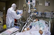 بستری بودن ۱۳۱ بیمار کرونایی در بیمارستان‌های کرمان
