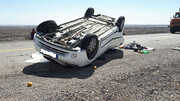 لغزندگی عامل واژگونی 30 خودرو در بوشهر