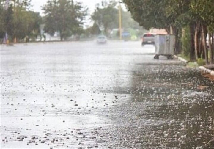 بارش شدید باران در بوشهر / فیلم