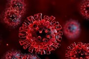شناسایی ۹ مورد جدید مبتلا به ویروس کرونا در ایلام | مجموعه فوت شدگان ۱۱۷۴