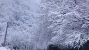 تصاویر چشم نواز از طبیعت بکر ماسوله پوشیده از برف در زمستان ۱۴۰۰ / فیلم
