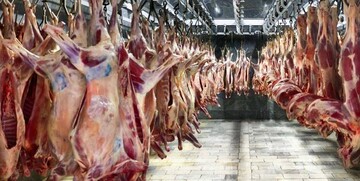 علت گرانی گوشت در روزهای گذشته چیست؟ + جزییات