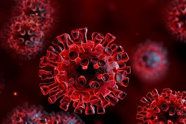 شناسایی ۹ مورد جدید مبتلا به ویروس کرونا در ایلام | مجموعه فوت شدگان ۱۱۷۴