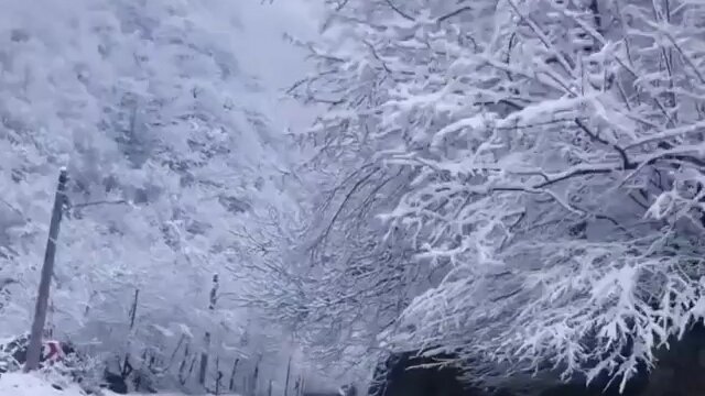 تصاویر چشم نواز از طبیعت بکر ماسوله پوشیده از برف در زمستان ۱۴۰۰ / فیلم