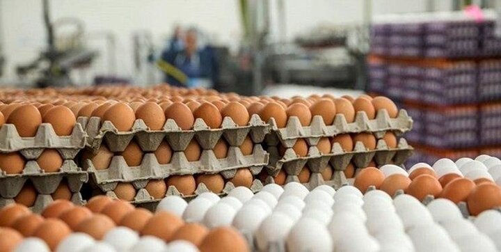 افزایش قابل توجه قیمت تخم مرغ در ۹ ماه گذشته / تخم‌مرغ هم از سبد غذایی حذف می‌شود؟!