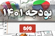 نقاط قوت و ضعف بودجه ۱۴۰۱ از زبان نماینده تهران / فیلم