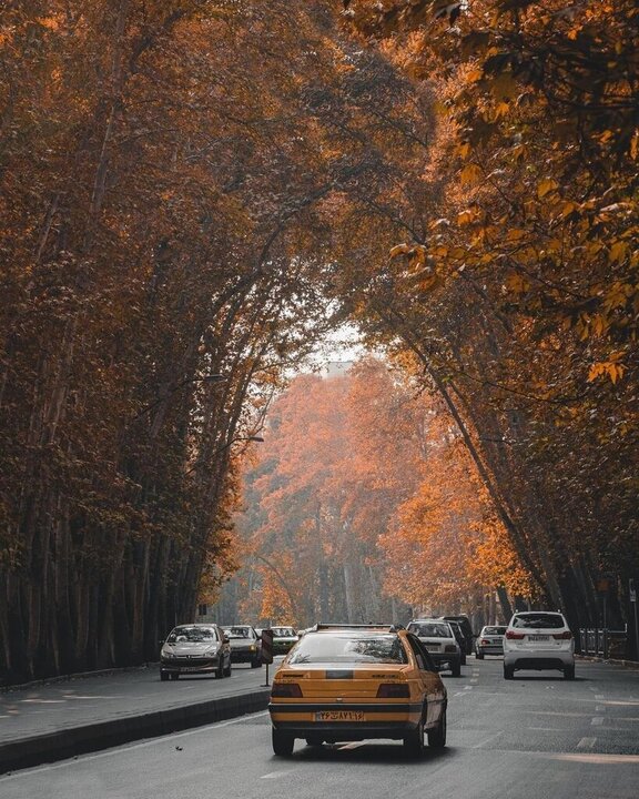 زیباترین حالت خیابان ولیعصر تهران / عکس