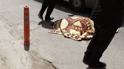جزئیات ماجرای عجیب مُرده‌ای که در خیابان‌های ماهشهر راه می‌رود