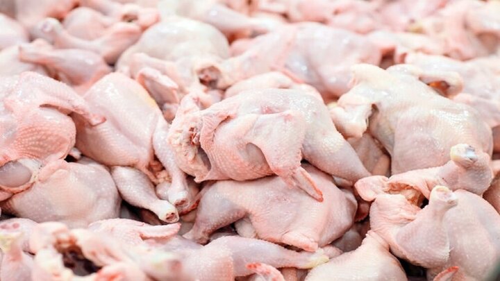 توصیه عجیب پژوهشگران: مرغ را قبل از پختن نشویید!