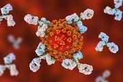 دانشمندان روش مهمی برای غیرفعال‌کردن ویروس‌ها کشف کردند
