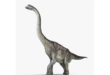 کشف گونه‌ای جدید از دایناسورها با طول ۲۵ متر!